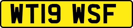 WT19WSF
