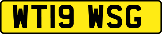 WT19WSG