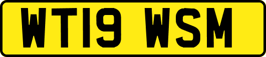 WT19WSM