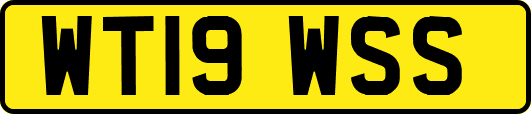 WT19WSS