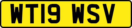 WT19WSV