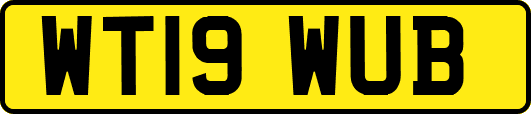 WT19WUB