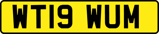 WT19WUM