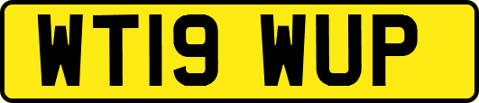 WT19WUP