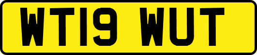 WT19WUT