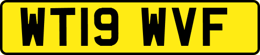 WT19WVF