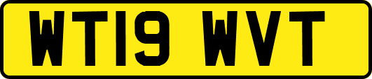 WT19WVT
