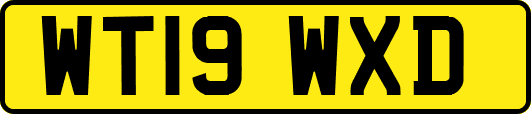 WT19WXD