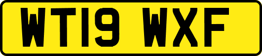 WT19WXF