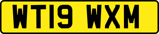 WT19WXM