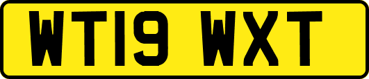 WT19WXT