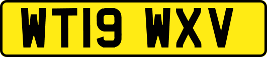 WT19WXV