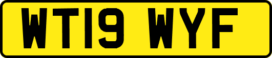 WT19WYF