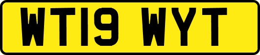 WT19WYT