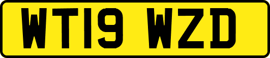 WT19WZD