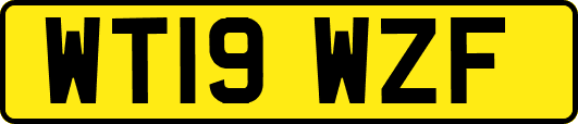 WT19WZF