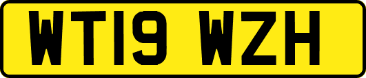 WT19WZH