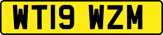 WT19WZM