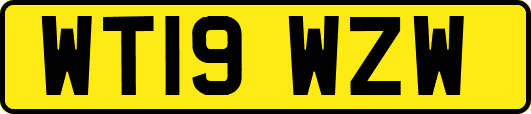 WT19WZW