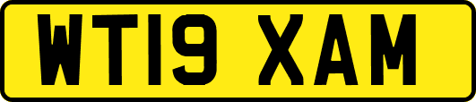 WT19XAM