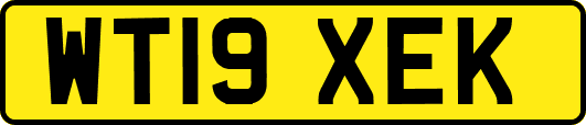 WT19XEK