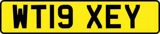 WT19XEY