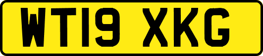 WT19XKG