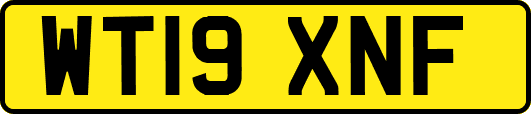 WT19XNF