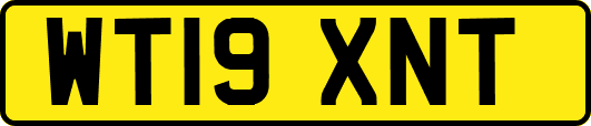 WT19XNT