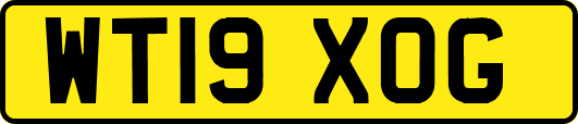 WT19XOG
