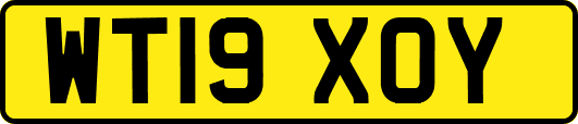 WT19XOY
