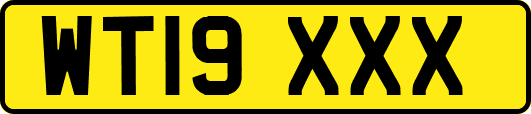 WT19XXX