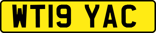 WT19YAC