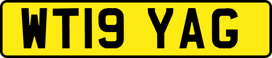 WT19YAG