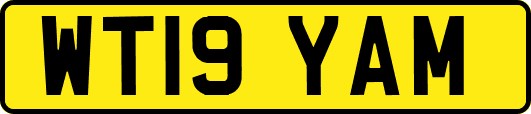 WT19YAM