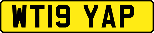WT19YAP