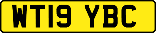 WT19YBC