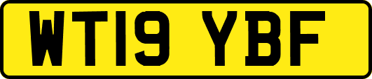 WT19YBF