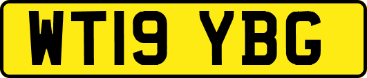 WT19YBG