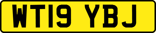 WT19YBJ