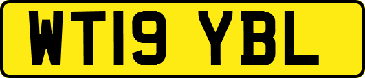 WT19YBL