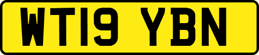 WT19YBN