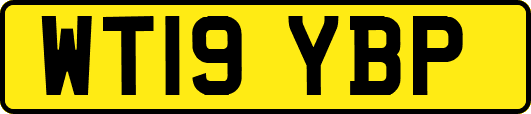 WT19YBP