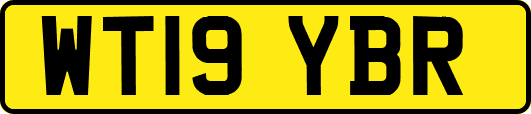 WT19YBR