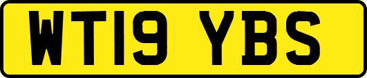 WT19YBS