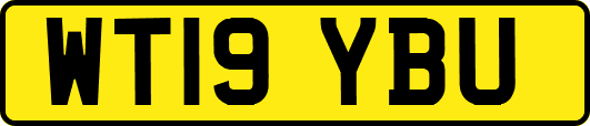 WT19YBU