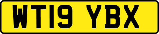 WT19YBX