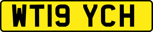 WT19YCH