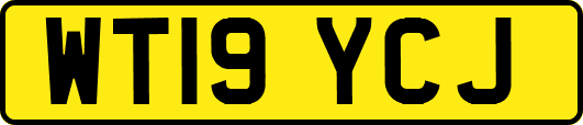 WT19YCJ