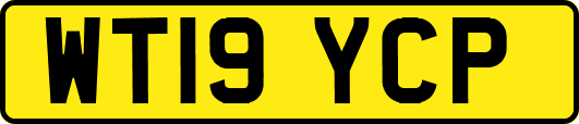 WT19YCP